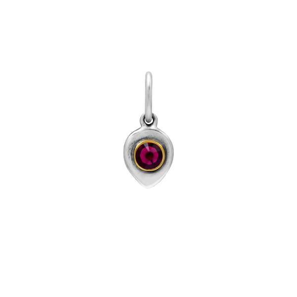 Birthlight Charm - February