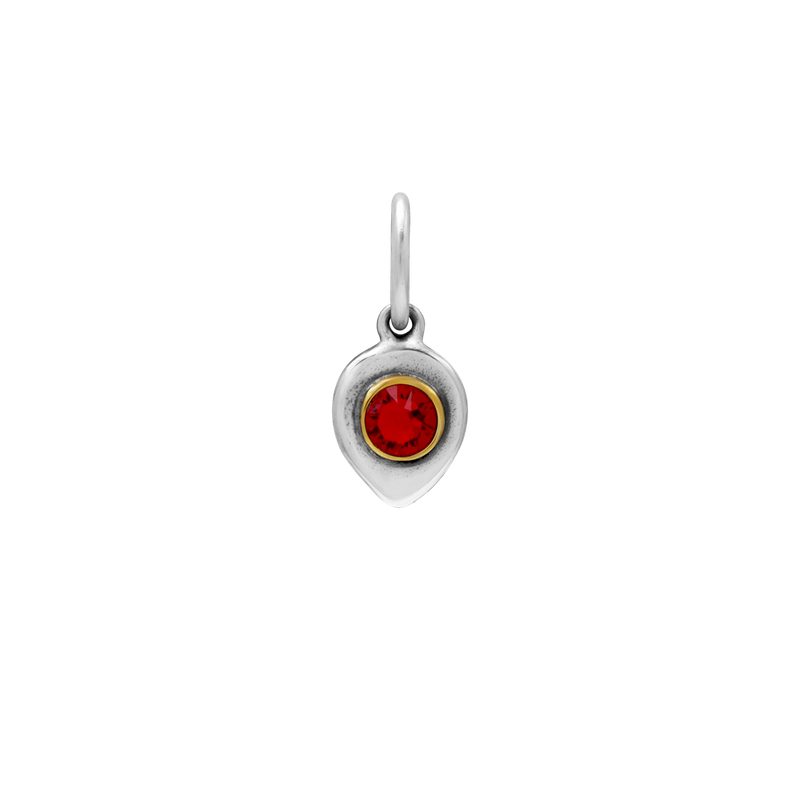 Birthlight Charm - January