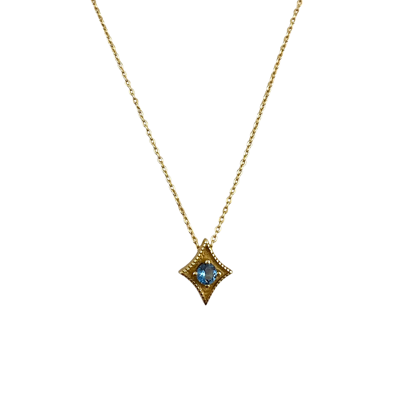 A Star Is Born Birthstone Necklace - December