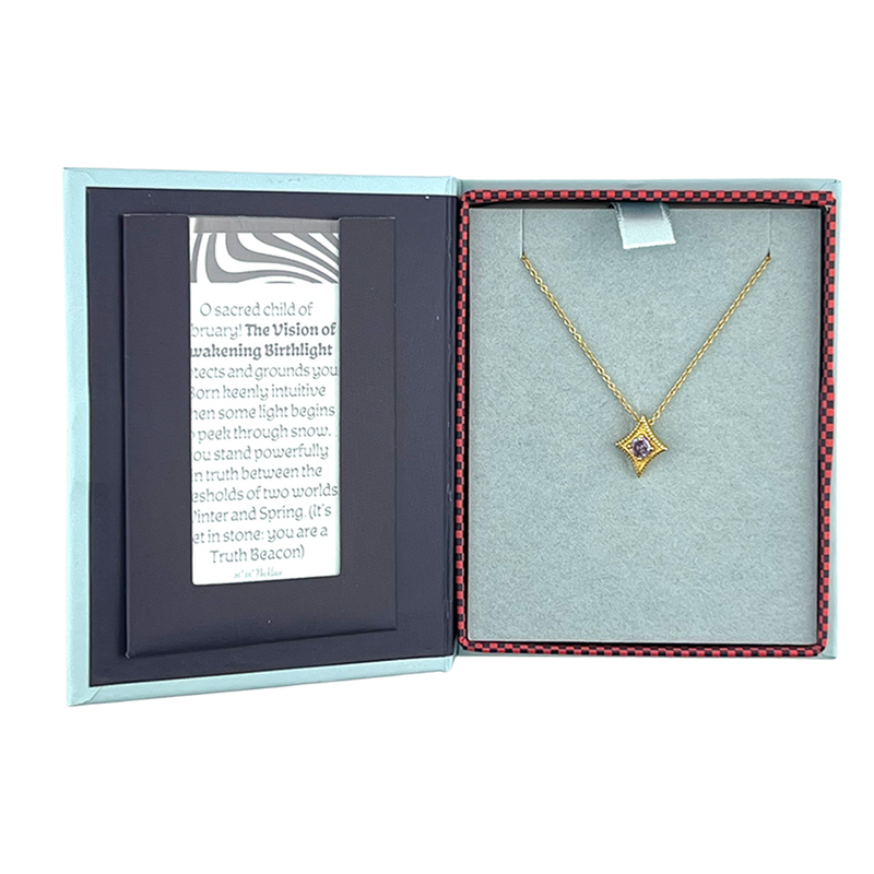 A Star Is Born Birthstone Necklace - February