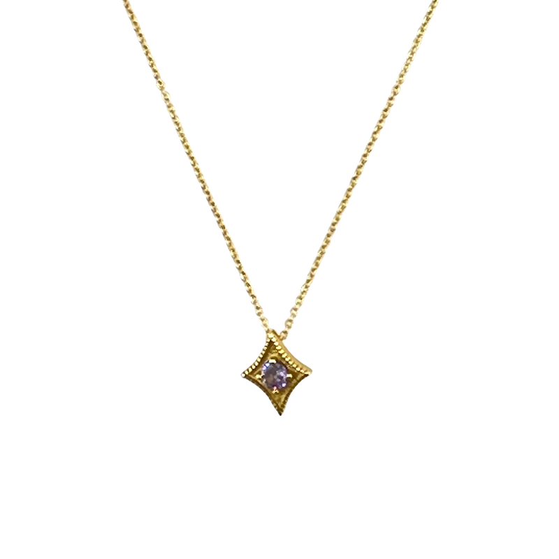 A Star Is Born Birthstone Necklace - February