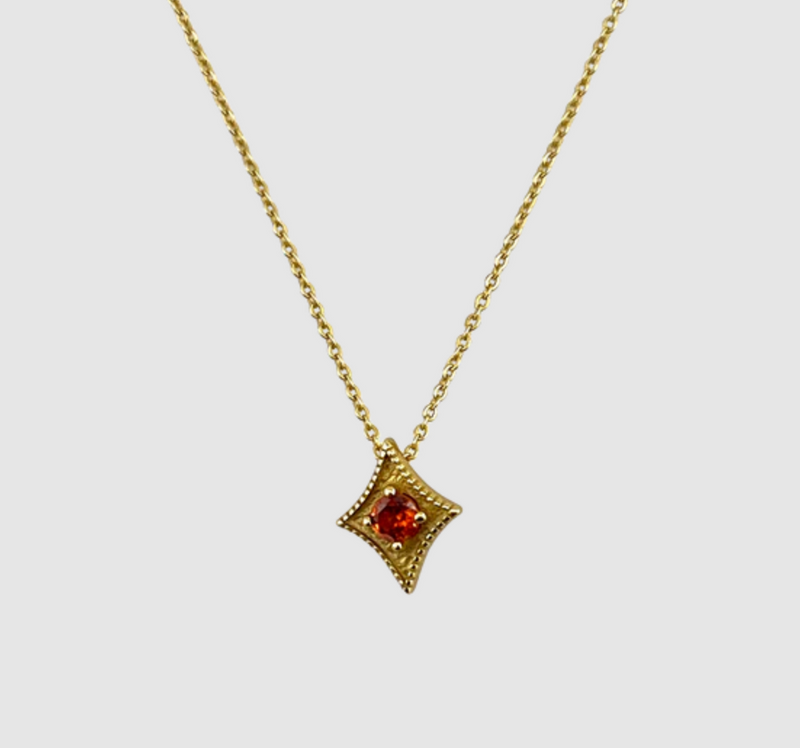 A Star Is Born Birthstone Necklace - January