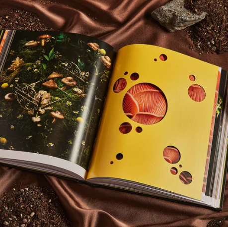 Spores: Magical Mushroom Photography Book