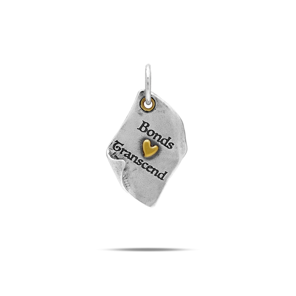 Chapters of Life Charm: Bonds Transcend - 5