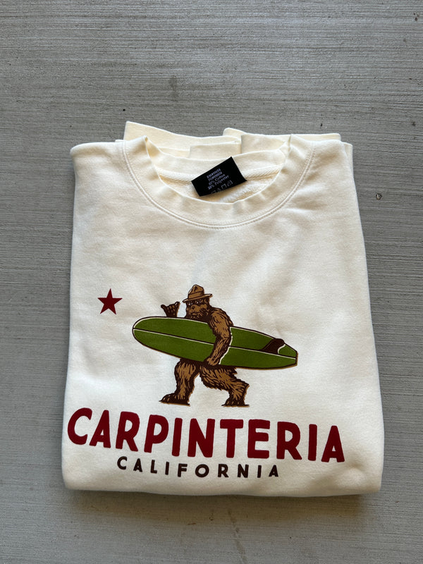Smokey the Bear Carp Sweatshirt