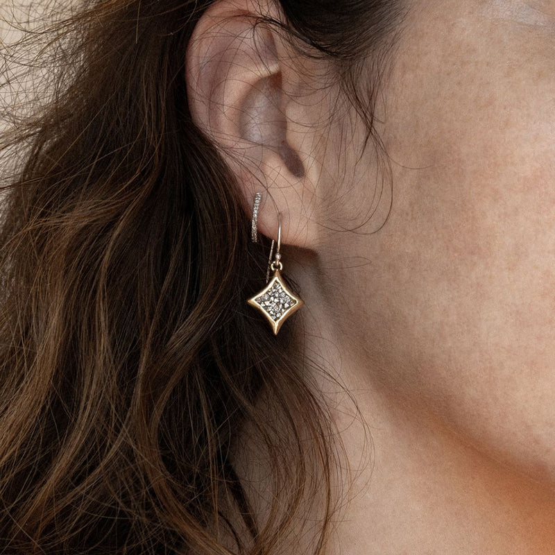 Magna Mini Drop Earrings